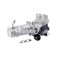 Kühler Abgasrückführung